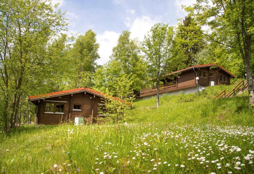 Werrapark Resort Ferienhaeuser Am Sommerberg Premium マッサーベルク エクステリア 写真